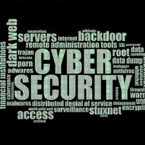 Erfolgreich gegen Cyberkriminalität